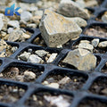Geogrid Plastic Mesh Plastic Mesh Biaxial Geogrid Mesh Rolls Plastic Grid Geogrid Mesh for Roads and Infrastructures