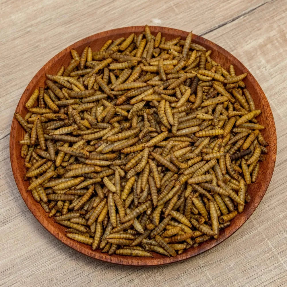 Wholesale 100% Plant-based Diet Dried Black Soldier Fly Larvae