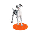Custom Logo Customized Color Wobble Cushion Trainer Exercise Balance Pad Massage Function Non-Phthalates PVC Material 33cm
