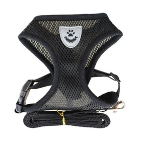 Hot Sell Easy Control Breathable Adjustable Soft Mesh Cat Leash and Chest Harness Set