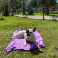 Large Super Absorbent Quick-Dry Dog Cat Microfiber Pet Towel Embroidered for Paw Print Design Durable Bathing Grooming Bathroom