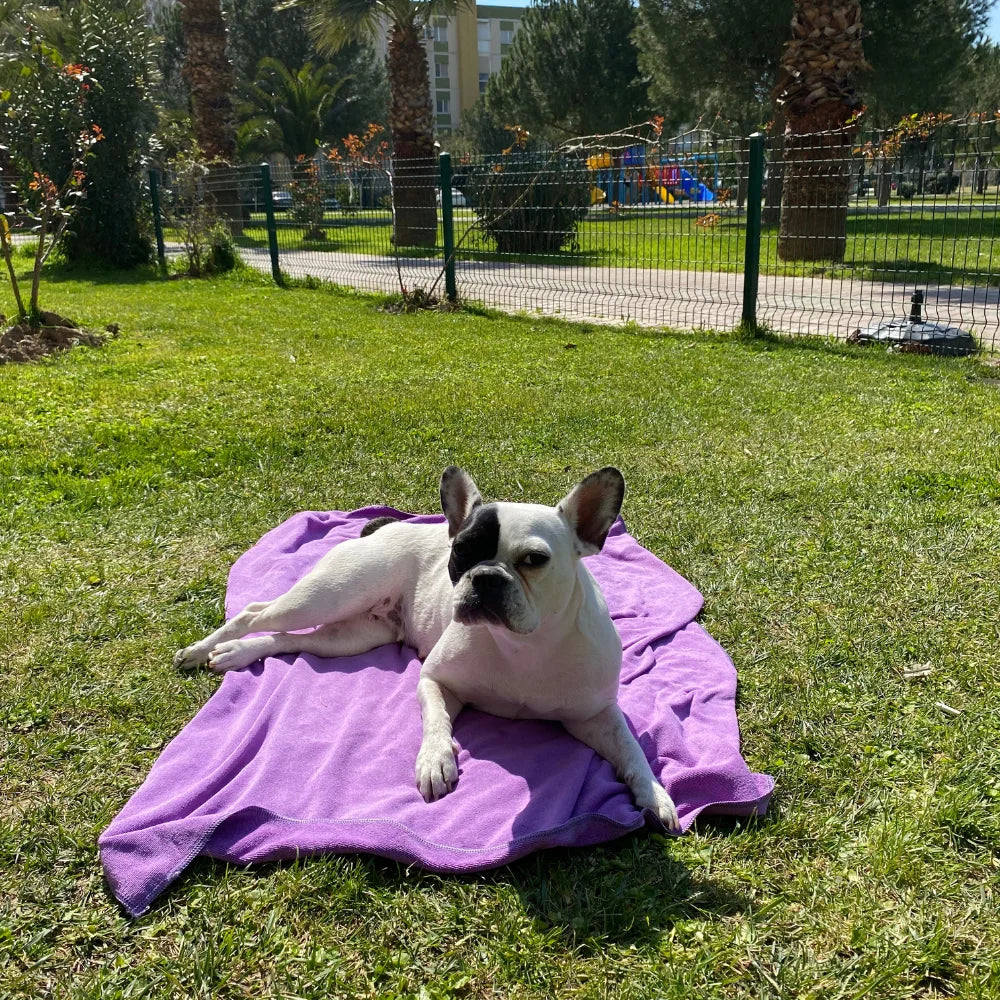 Large Super Absorbent Quick-Dry Dog Cat Microfiber Pet Towel Embroidered for Paw Print Design Durable Bathing Grooming Bathroom