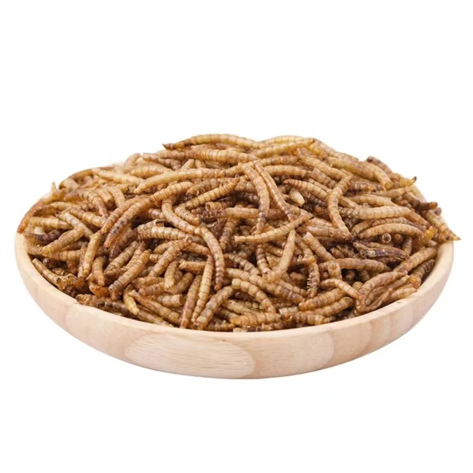 Bulk Defatted Tenebrio Molitor Mealworm Pupa Powder for Horse Pig Fish Dog and Fish Meal for Pet Feed