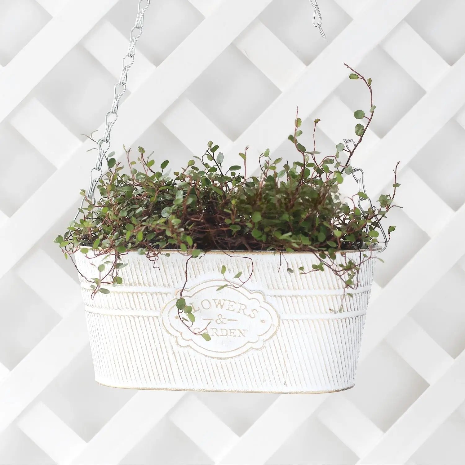 Vintage Metal Hanging Planter with Chain | Rustic Flowers & Garden Iron Hanging Basket for Balcony Patio & Outdoor Decoration