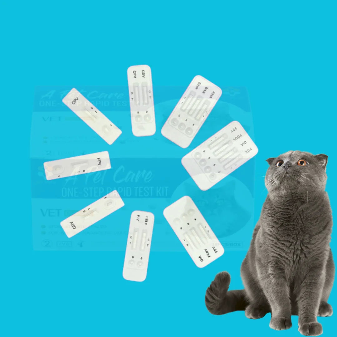 Vericare Feline Mycoplasma Rapid Test MP Gatos Veterinary Diagnostic Equipment