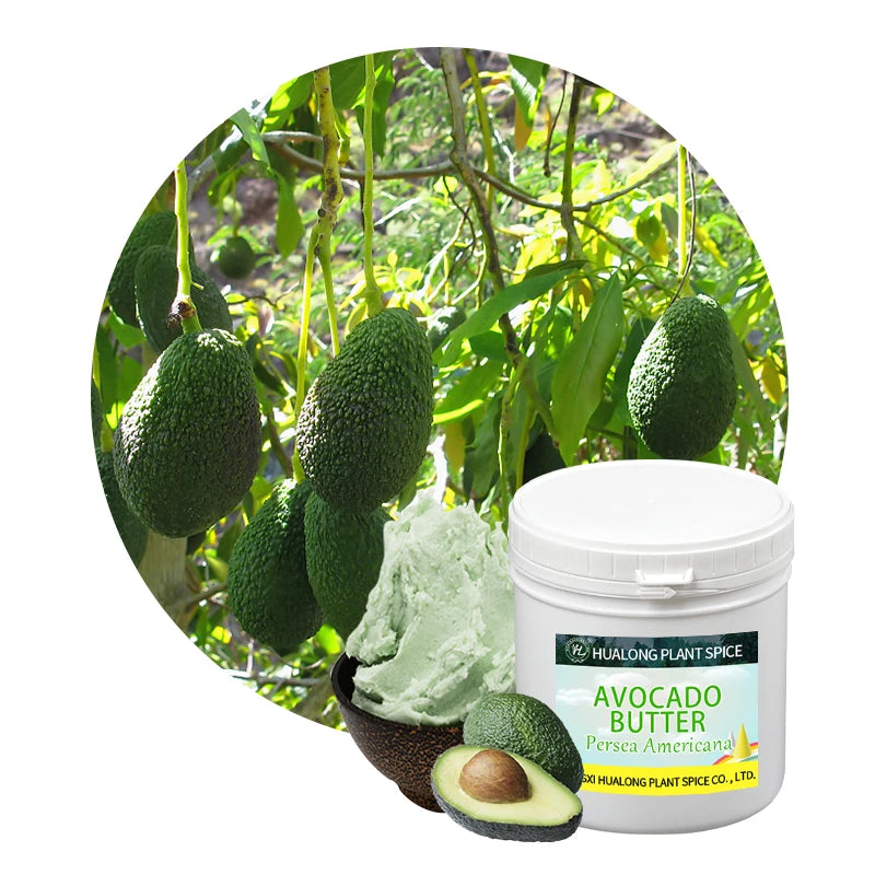 Acocado Butter - PREMIUM 100% Pure & Natural Raw Unrefined Cold Pressed Bulk Wholesale Price