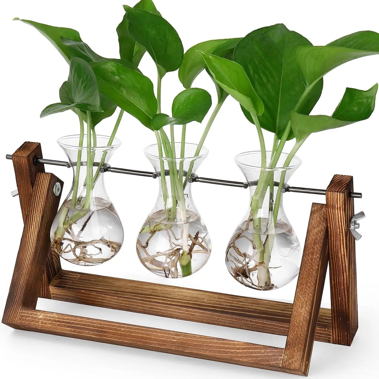 Propagation StationsPlant Terrarium with Retro Wooden Stand Gifts for Plant Lovers Hydroponics Plants Home Office Garden Decor
