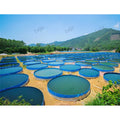 Lvju Fish Aquaculture Tanks Marine Crab Aquaculture Recirculating Shrimp Prawn farming Pond
