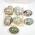 Polished Dendritic Wood Jasper Palm Stone Gemstones Natural Dendritic Jade Natural Crystal Healing Palm Stones Hearts