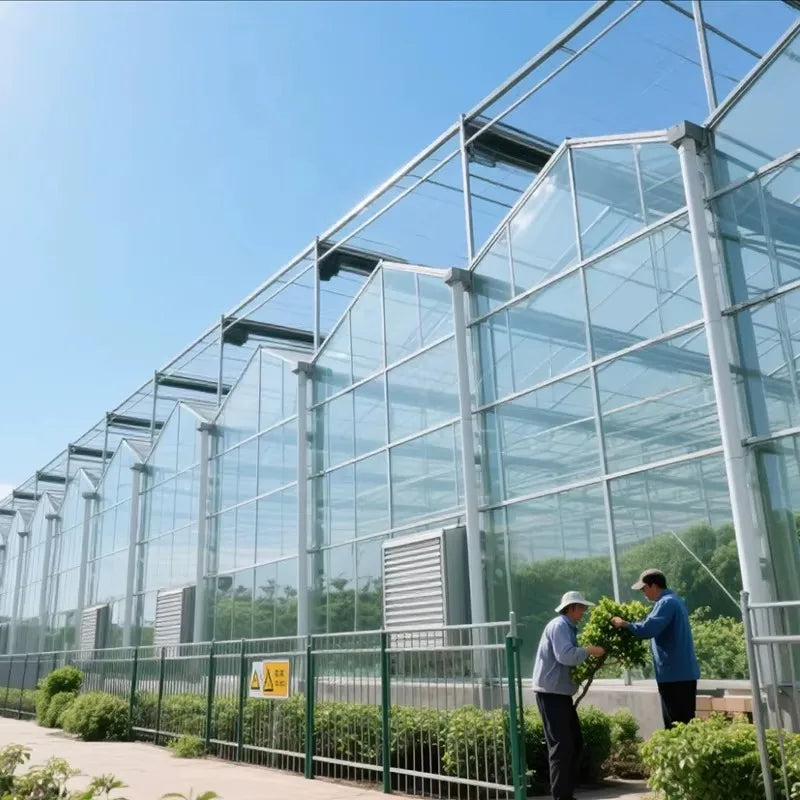 Cost-Effective Multi-Span Glass Greenhouse Temperature Control High Light Transmission for Large-Scale Agriculture (Recyclable