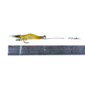 Wholesale Printed Silicone SHRIMP 75mm 6.6g Luminous Soft Bait Fishing Lure with Hooks for River Lake & Stream