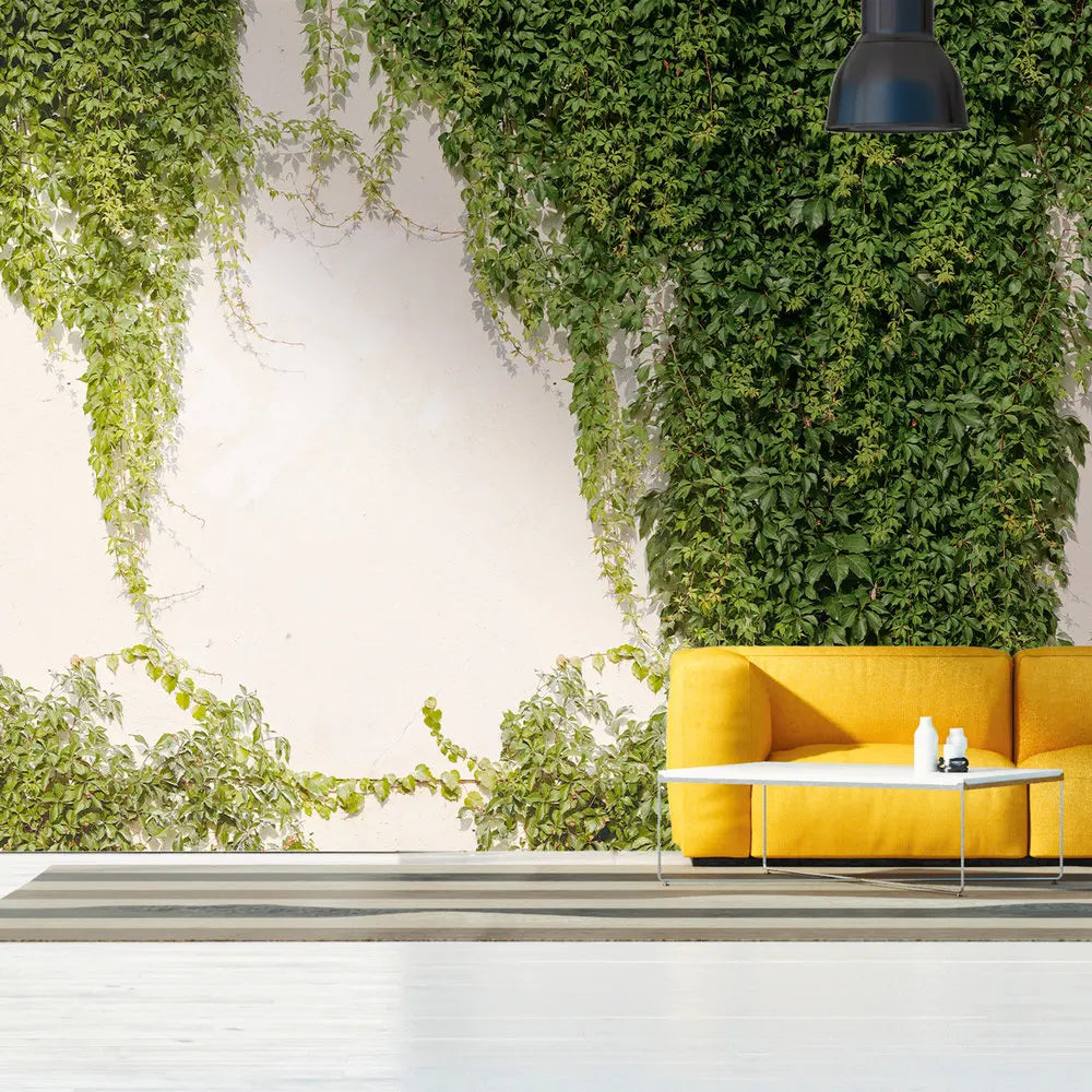 Made in Germany Photo Wallpaper Murals Ivy Wall Green Cream Non Woven Vinyl Wall Mural Plants Large Format Bulk - 280 x 371 m