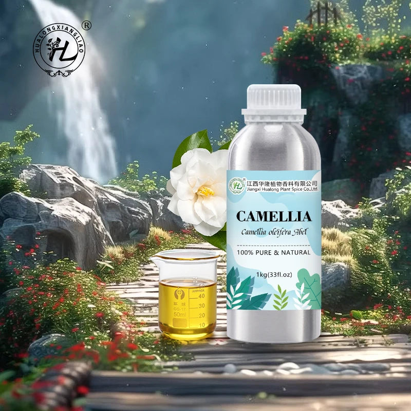 Camellia Oleifera Seed Oil for Face Skin Hair Scalp Body Massage - Cold Pressed100% Pure Natural Unrefined | Bulk 1kg