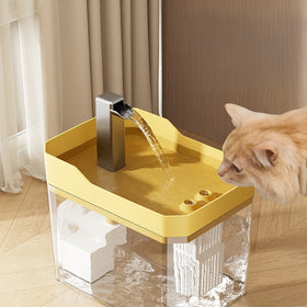 USB Powered Non-Slip Pet Water Dispenser Automatic Circulation Large Capacity Silent Transparent Pet Water Fountain for Cat Dog