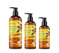 OEM ODM KORMESIC Private Label Anti Dandruff Organic Dry Set Loss Argan Oil Hair Shampoo