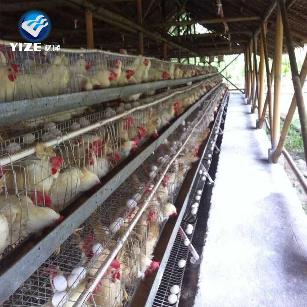 Automatic Metal Chicken Cage for Sale in Kerala