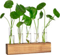 PIONEERA Modern Plant Propagation Station Wooden Stand 5 Glass Test Tubes Pots for Hydroponics-Home/Wall Indoor Gardening Gift