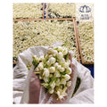 High grade jasmine flowers full buds handpicked from Blue Lotus in Vietnam gently dried and preserved for soothing tea blends