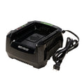 80V 6A Battery Charger MegaBDM