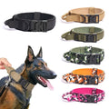 Metal Frog Clip Buckle Lock Large Custom Dog Collars Collar Heavy Duty for Pitbulls Bully Breeds