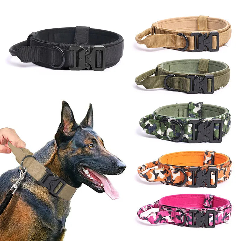 Metal Frog Clip Buckle Lock Large Custom Dog Collars Collar Heavy Duty for Pitbulls Bully Breeds