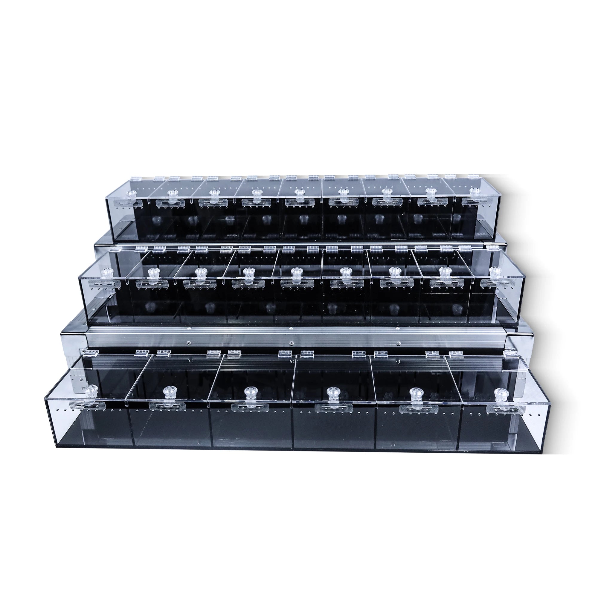 Crystal Clear Acrylic Luxury Black Reptile Enclosure Easy-to-Clean Display Shows for Geckos & Snakes Secure Lock Feature
