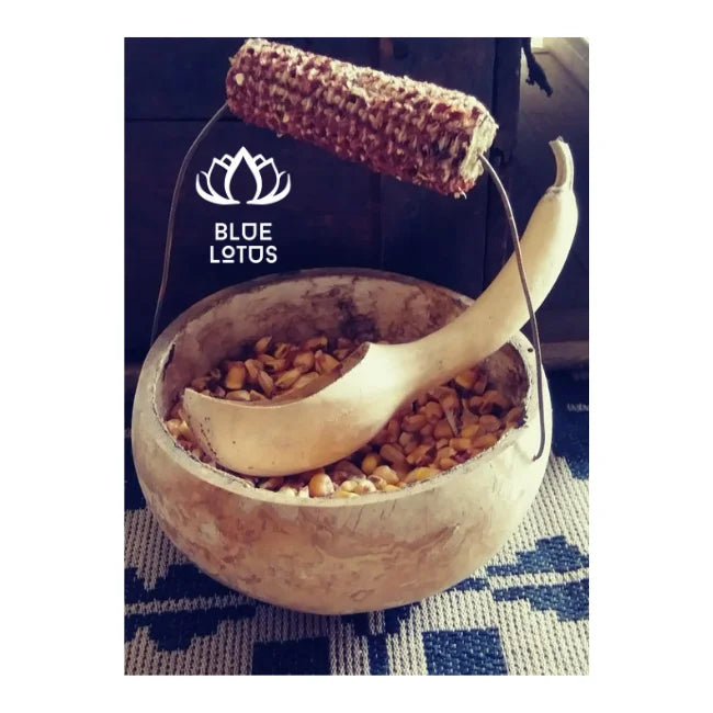 HOT SELLING! Handcrafted Gourd Ladle Bowls: Rustic Charm for Kitchen & Home. HIGH QUALITY & Always AVAILABLE - BLUE LOTUS