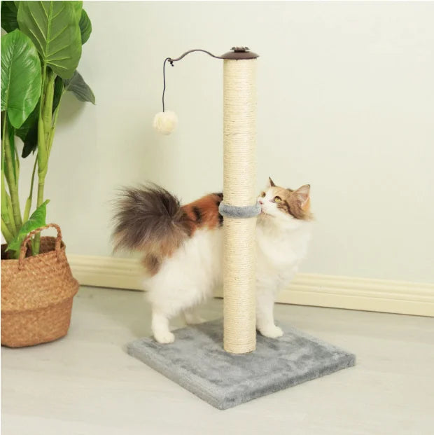 Modern Design Small Solid Wooden Sisal Cat Climbing Frame with Cat Hut New Style Packed in Carton MegaBDM