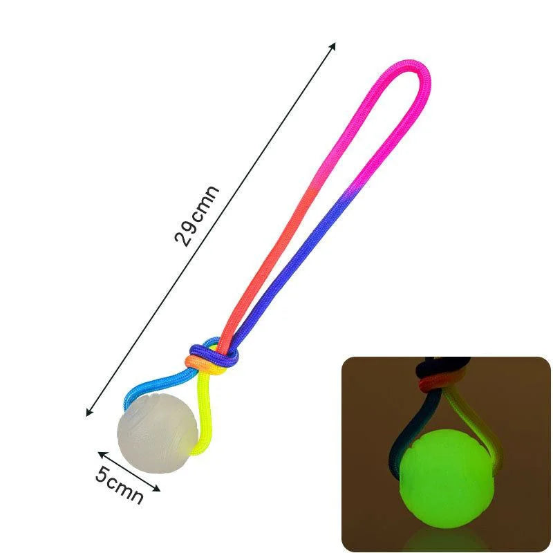 Pet Glowing Luminous TPR Glow in the Dark Stress Release Dog Sports Outdoor Training Fetch Ball Toy