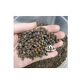 Organic Black Seed and Papaya Seed Tea with Fresh Papaya from Blue Lotus