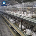 Breeding Large Rooster Pen Hen House Chicken Cage Mesh Best Chicken Coop Chicken Shed for Sale Nest