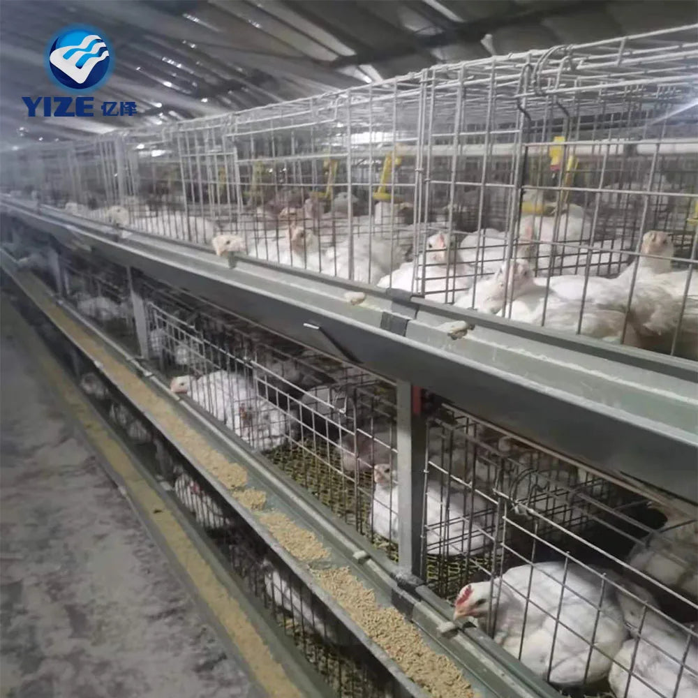 Breeding Large Rooster Pen Hen House Chicken Cage Mesh Best Chicken Coop Chicken Shed for Sale Nest