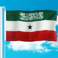 Custom 100% Polyester Size Large Somaliland Flag 2 Metal Holes for Outdoor Ball Games National Day 3*5ft Somaliland Flag