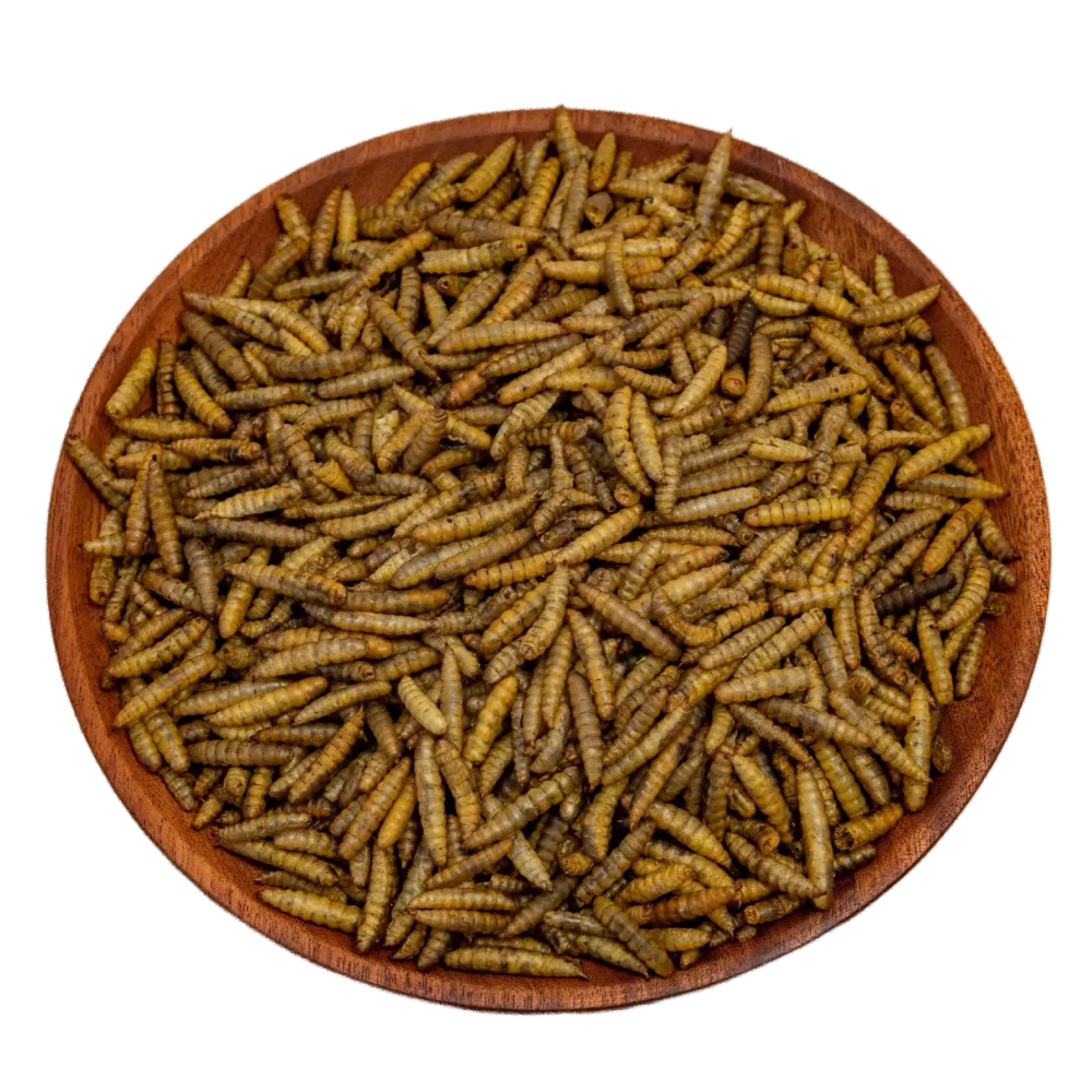 Soldier Fly Frozen Bsf Insect Larvae Powder Natural Black Chicken/Fish/Pig/ Pet/Bird Food Pure China Qingdao Dry Bag Dog