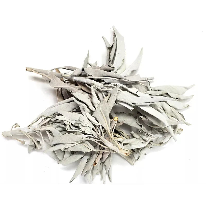California White Sage Smudge Leaves & Clusters 1KG Bulk Loose Aromatic Use