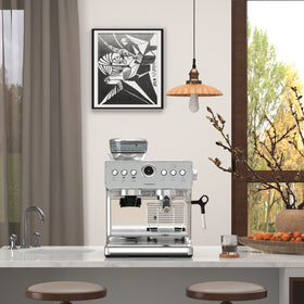 Professional 1450W Electric Portable Brew System Semi-Automatic Coffee Machine 20 Bar Pressure Pump Stainless Steel Hotel