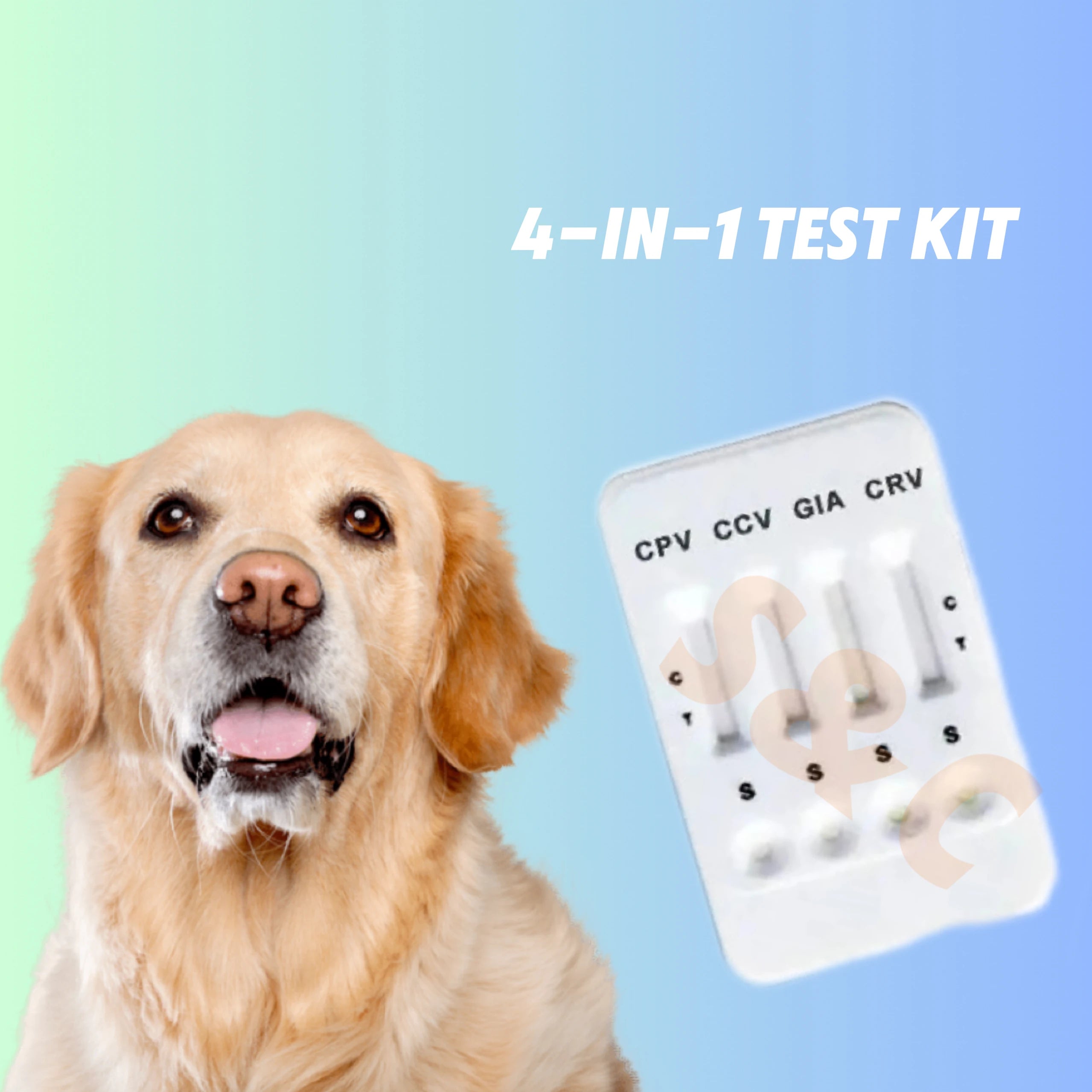 High Sensitivity RLN Canine Rapid Test One Step Pregnancy Rapid test Kits Dogs With 99% Accuracy Veterinary Diagnostic Equipment