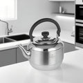 ZHENNENG Modern Design 6L Stainless Steel Kettle Portable Boiling Water Kettle Bakelite Handle Heightened Thickened Kitchen Tool