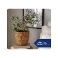 Woven Water Hyacinth Planter Handmade Decor for Indoor Plants from Blue Lotus