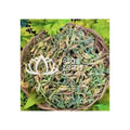Healthy Herbal Tea Ingredient Dried Male Papaya Flower for Daily Use