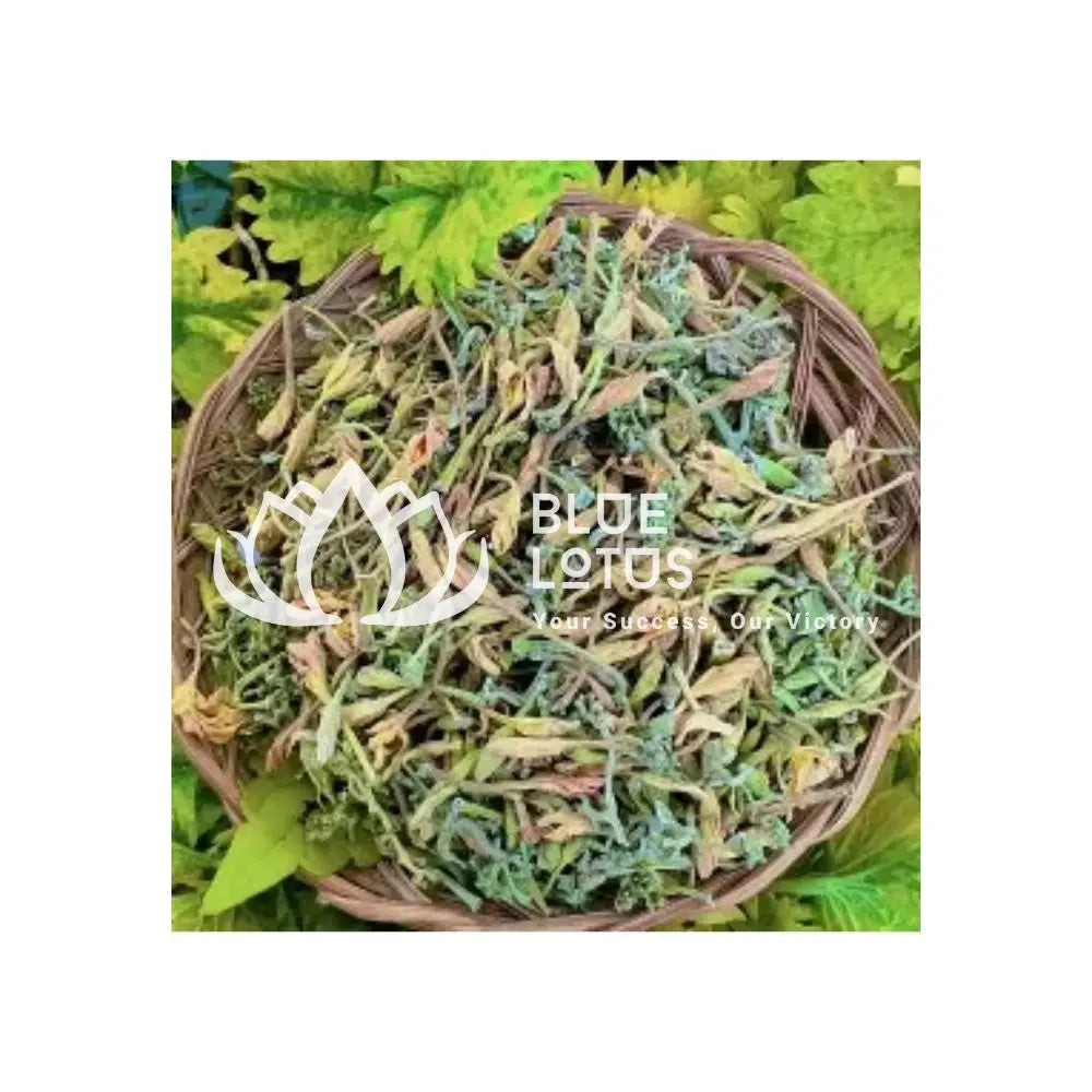 Healthy Herbal Tea Ingredient Dried Male Papaya Flower for Daily Use