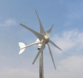 EU Warehouse 1000W Wind Turbine with MPPT Controller 12V 24V 48V Household Wind Generators