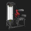 New Steel Seated Back Extension Curl Machine 80kg Pin Loaded Eco-Friendly CE ISO9001 Certified Commercial Use Training Gym