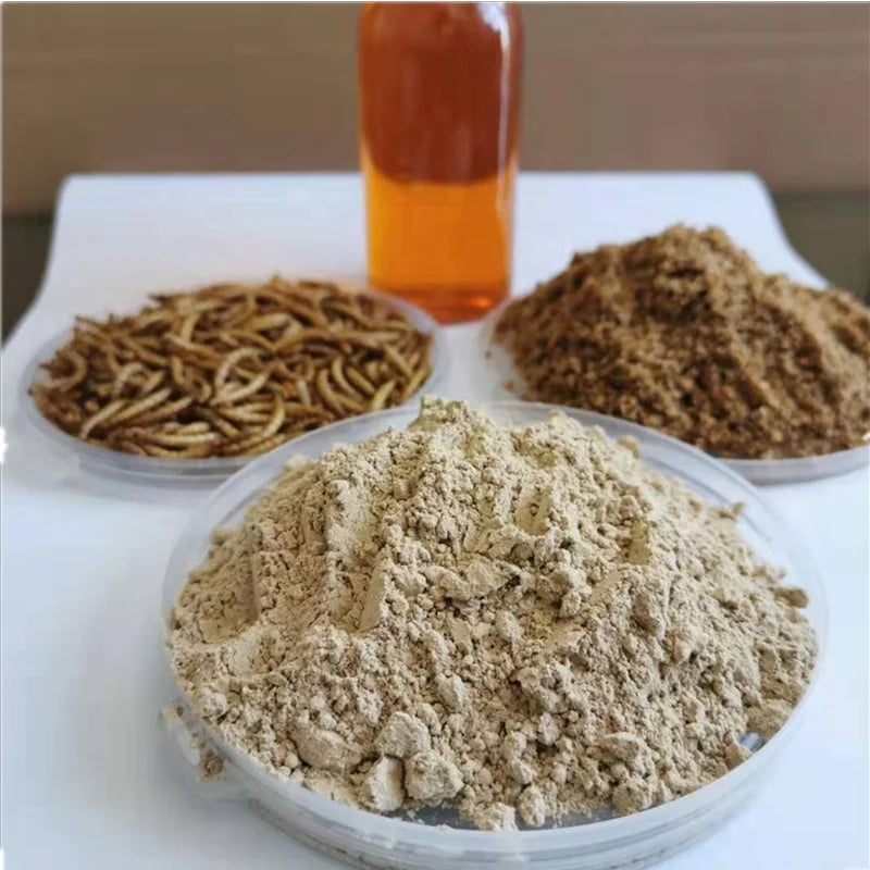 Organic Defatted Yellow Mealworm Protein Powder Rich in Essential Amino Acids