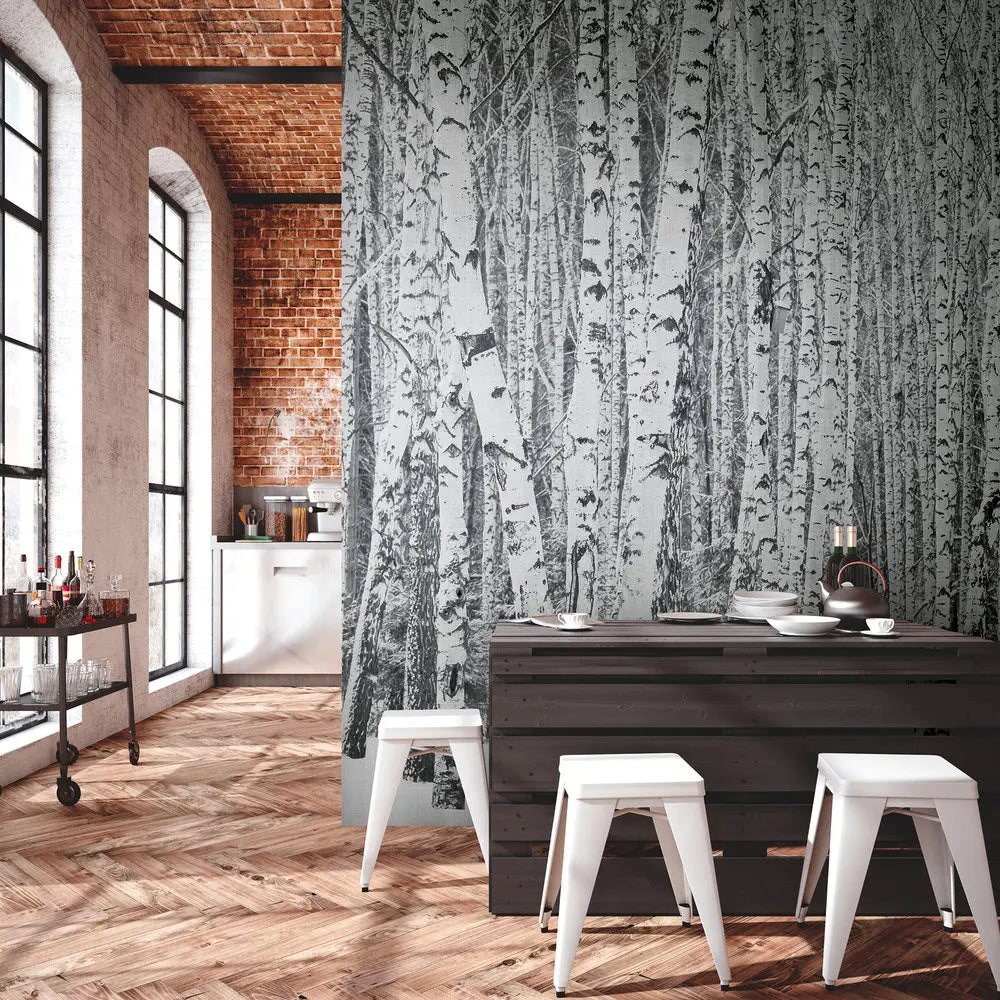Germany Made Birch Forest Black White Grey Non Woven Vinyl Wall Mural 0.53x20.10m Removable Modern Design Bedroom Hospital Mall