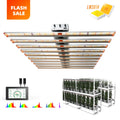 Top Quality 1000w Led Grow Light Replace Cfl Full Spectrum  Light Grow for Indoor Plant Wholesale From China