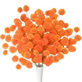 Artificial Eucalyptus Stems Orange Silver Dollar Leaves Stems Fall Decoration for Home Wedding Vase Autumn Thanksgiving Decor