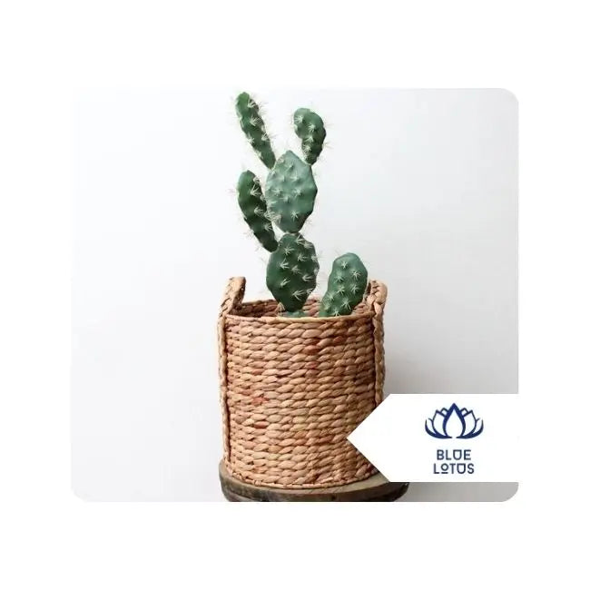 Blue Lotus Eco-Friendly Water Hyacinth Pot for Home & Garden Indoor Greenery Arrangement