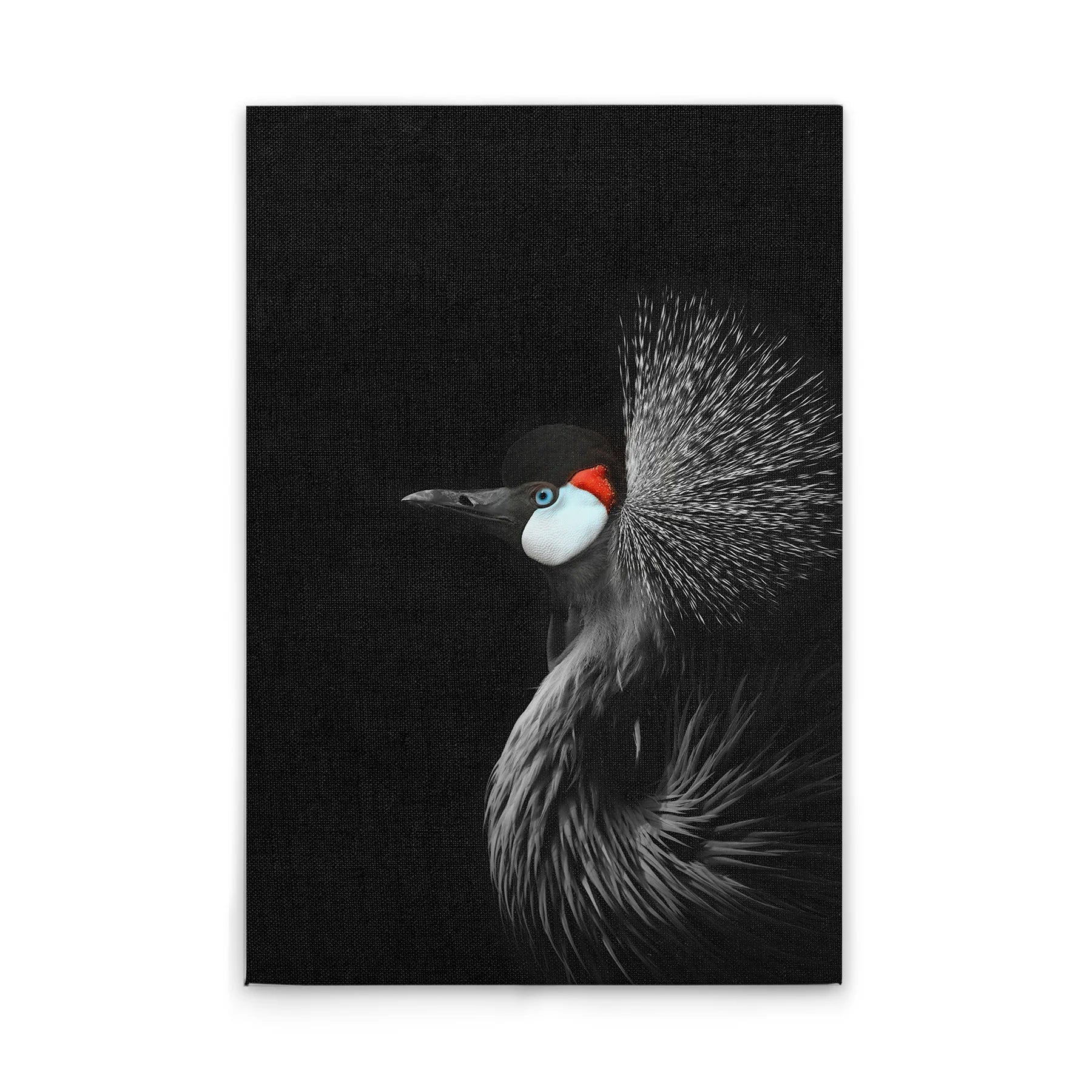 Made In Germany - Home Decor Canvas Picture Animals Crane - Wall Mural In Black And White - Canvas Picture On Stretcher Frame