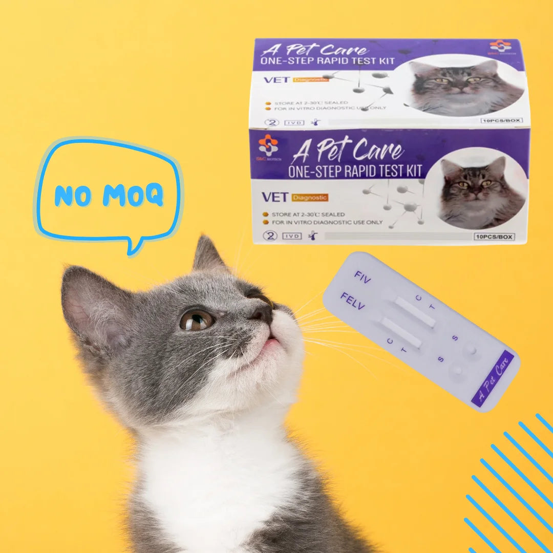 Pet Hospital Whole Blood Rapid Test Cat Blood Type Test Kit Feline Blood Type a /B /AB Type Veterinary Diagnostic Equipment
